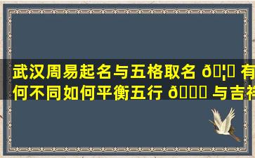 武汉周易起名与五格取名 🦍 有何不同如何平衡五行 🐕 与吉祥寓意